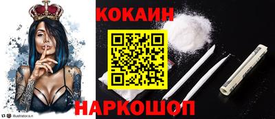 стаф Будённовск