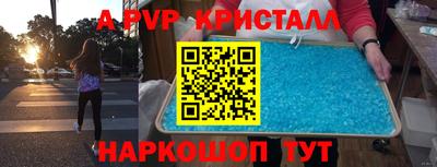 стаф Будённовск