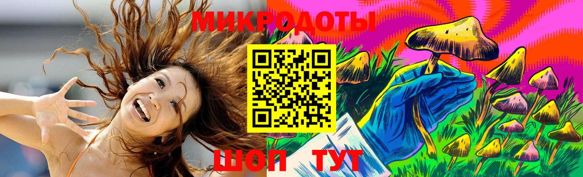 Псилоцибиновые грибы Psilocybe Сорочинск