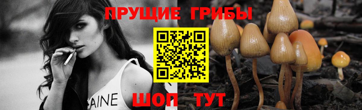 Псилоцибиновые грибы прущие грибы  Вход с VPN  Сорочинск  Галлюциногенные грибы MAGIC MUSHROOMS 